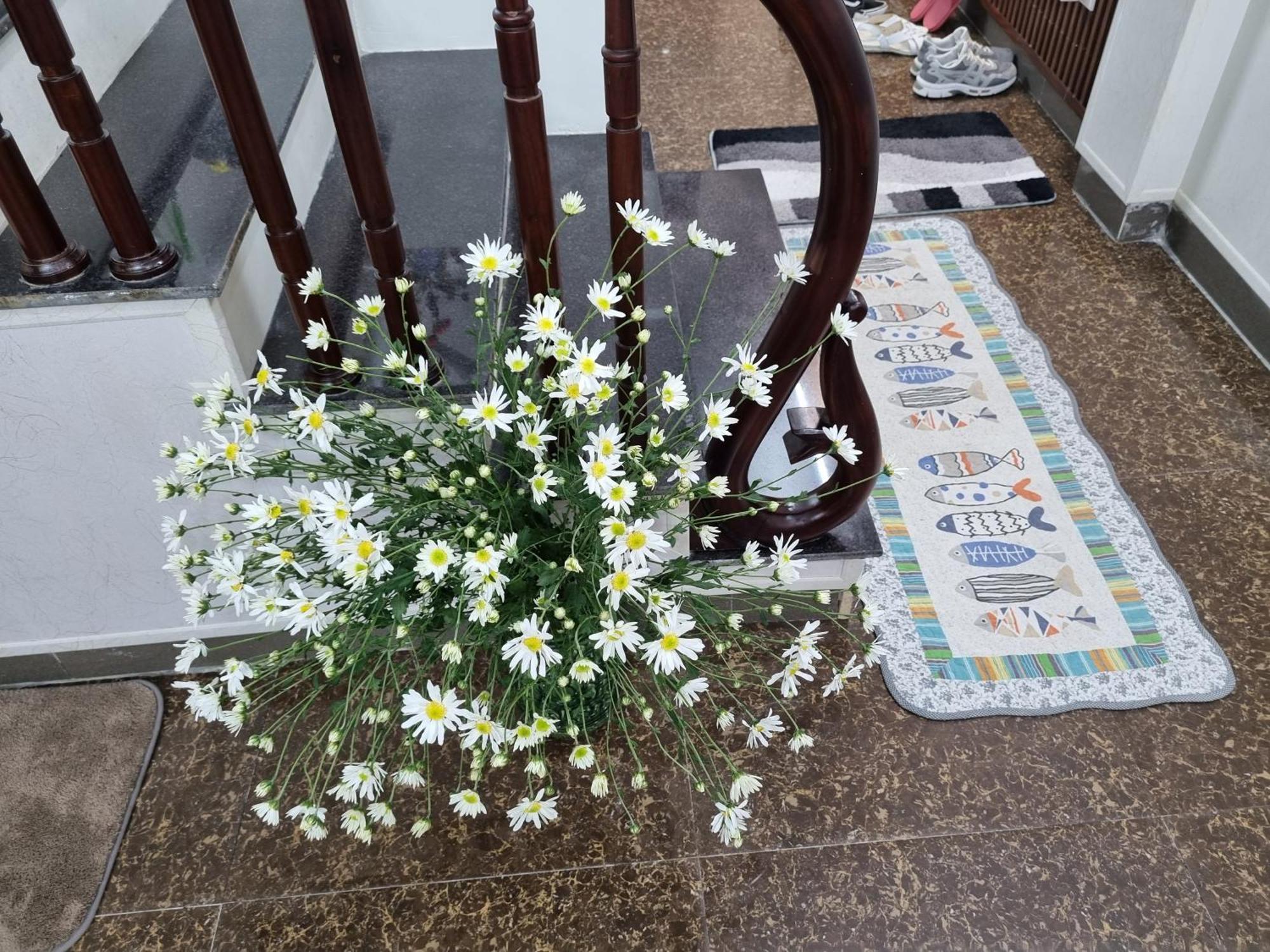האנוי May'S Cottage מראה חיצוני תמונה