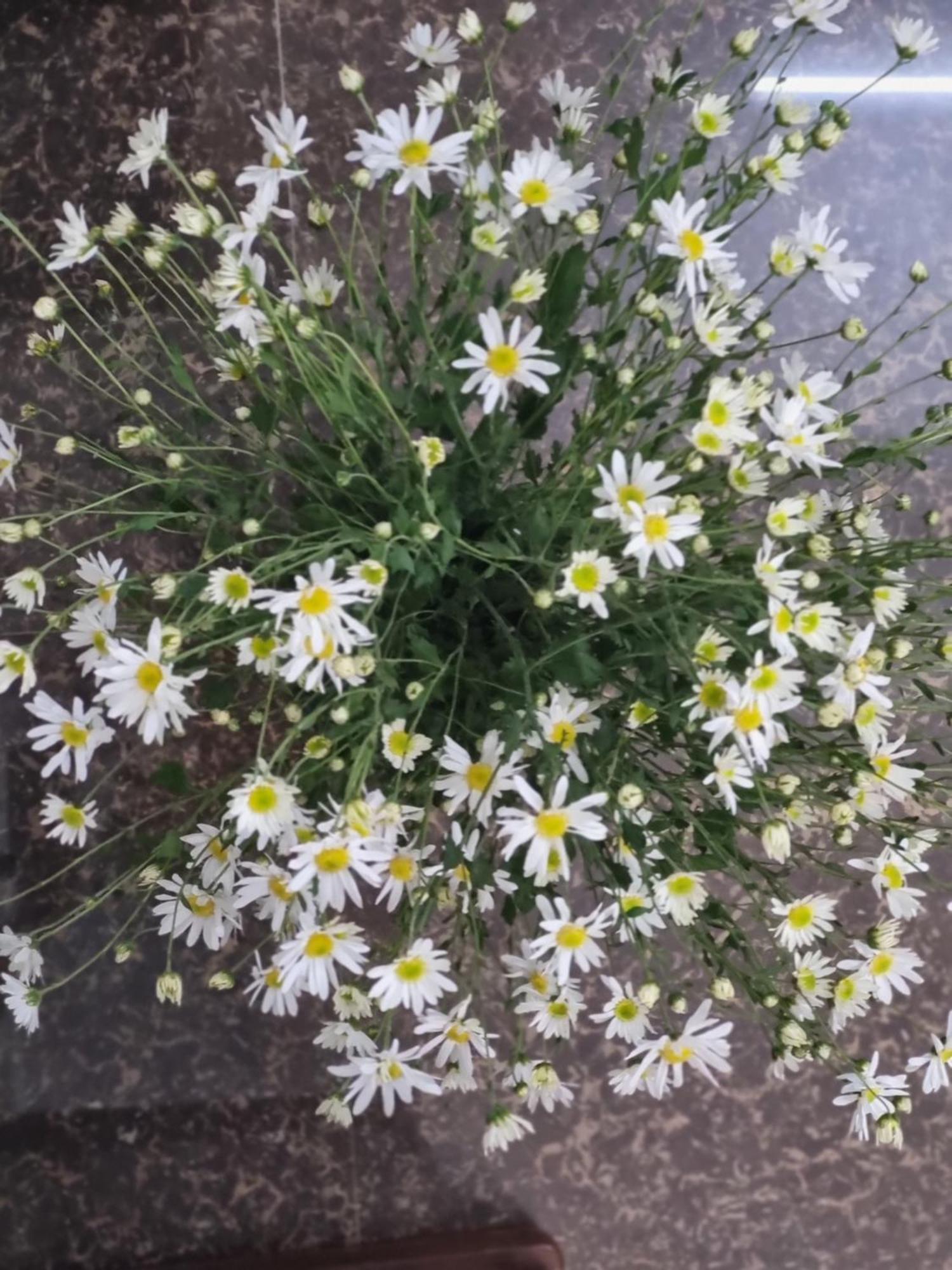 האנוי May'S Cottage מראה חיצוני תמונה