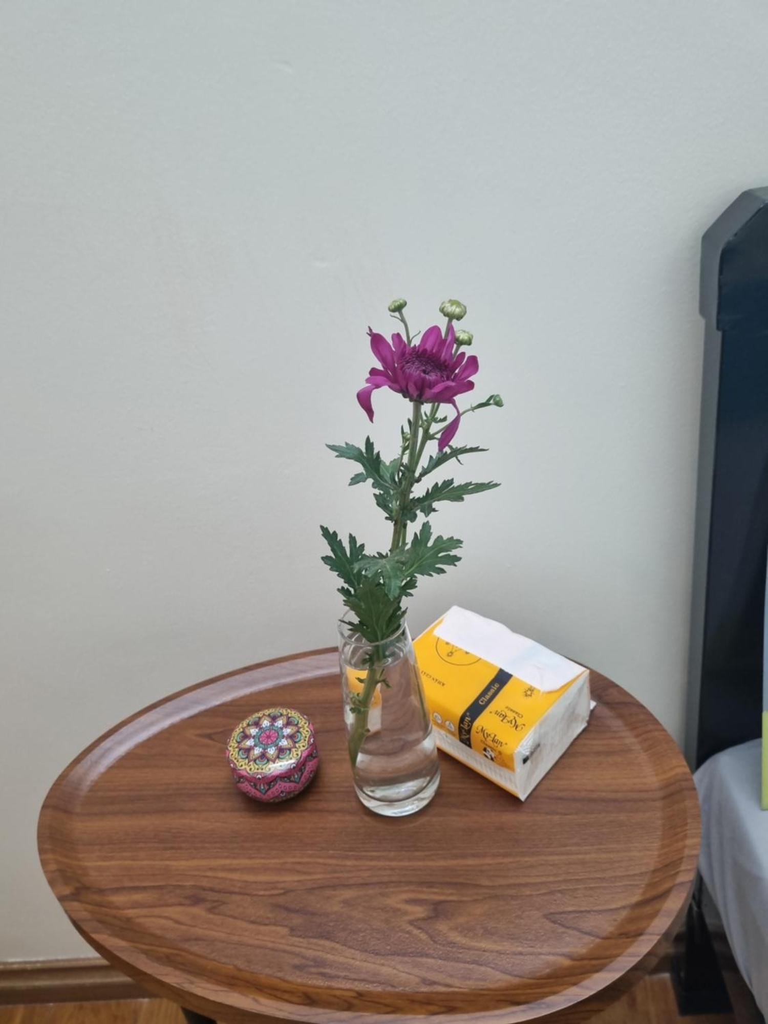 האנוי May'S Cottage מראה חיצוני תמונה